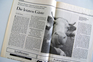 zeit letzte gaeste