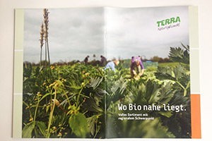 terra 24h bio